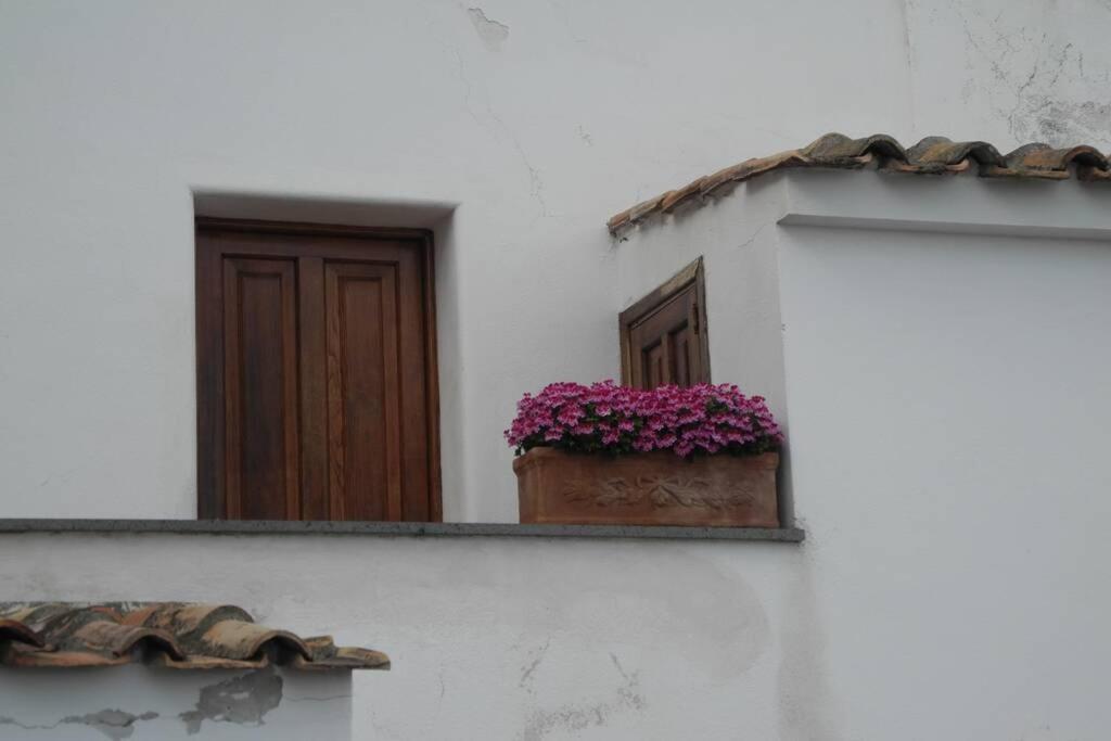 East Wind House Vila Praiano Exterior foto